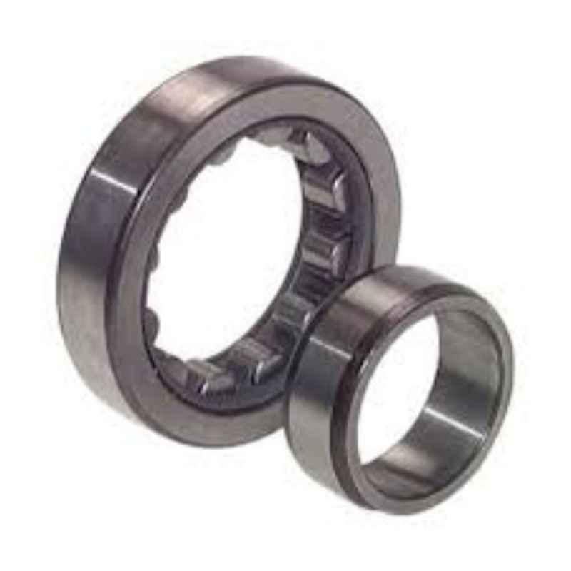 Buy SKF 45x100x25mm Cylindrical Roller Bearing, NU 309 ECP Online