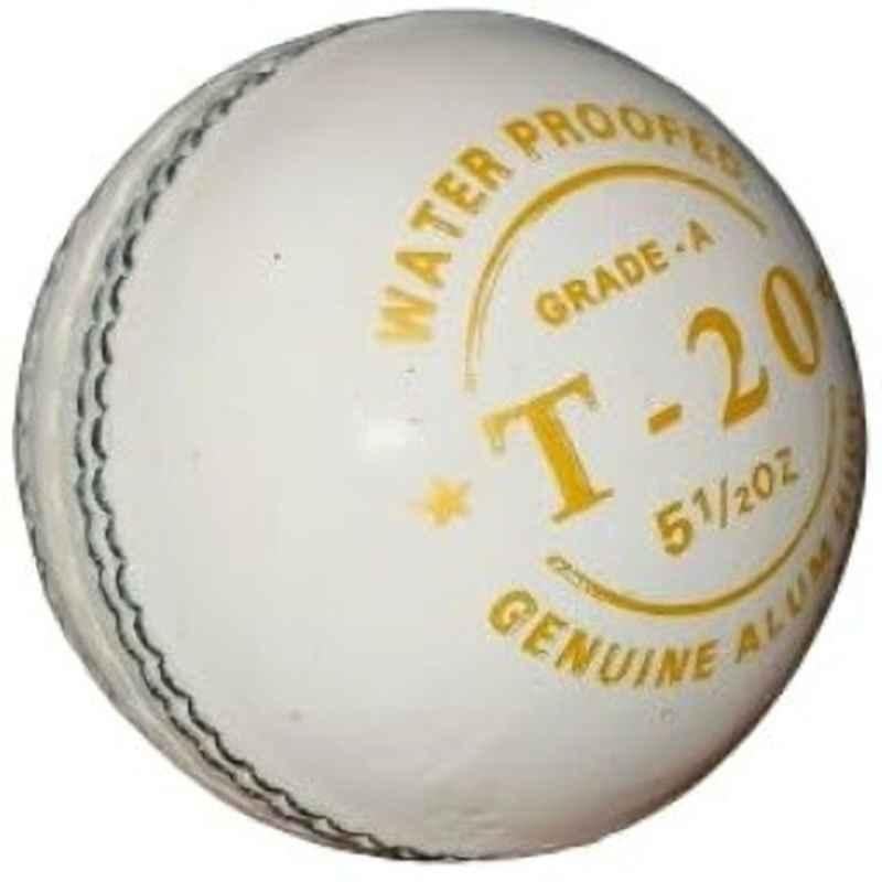 HTM T-20 CRICKET LEATHER BALL Cricket Leather Ball (Standard White)