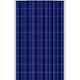 Solar India 100 Watt 12 V Polycrystalline Solar Panel SSI100 Watt