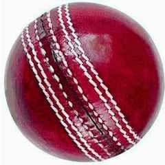 Bhavya Sports Leather Ball Cricket Leather Ball (Standard Red)