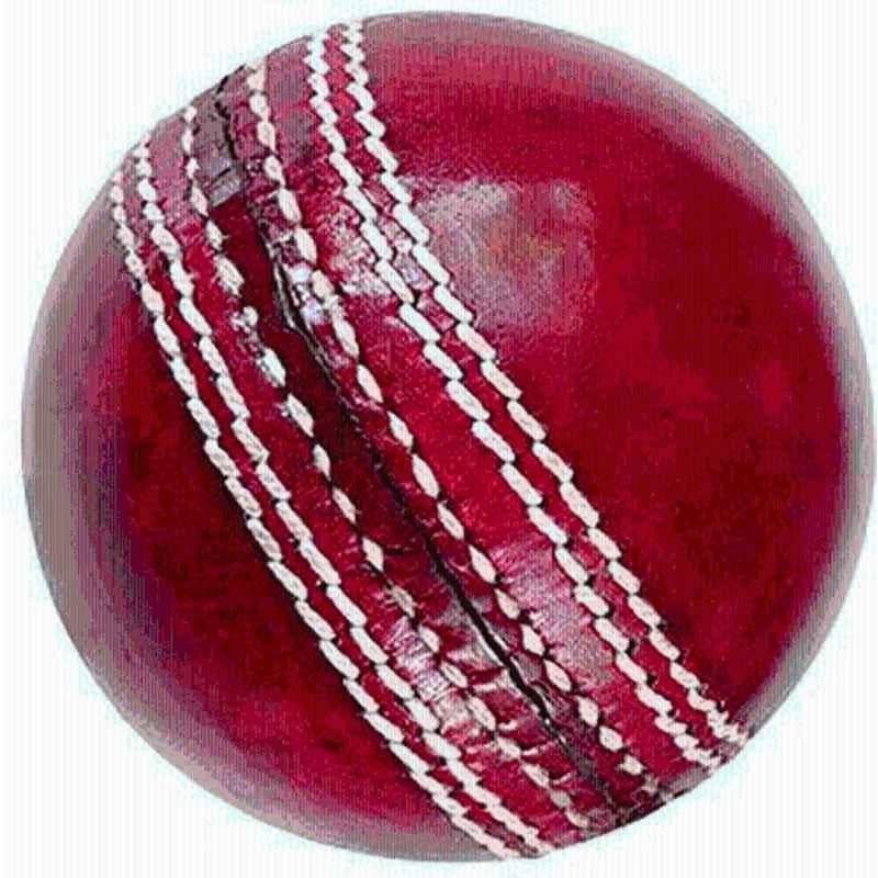 Bhavya Sports Leather Ball Cricket Leather Ball (Standard Red)