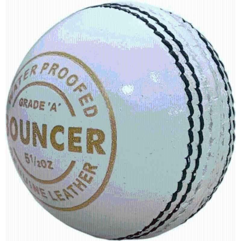 LSI Sports 2 panel white bouncer cricket leather ball Cricket Leather Ball (Standard White)