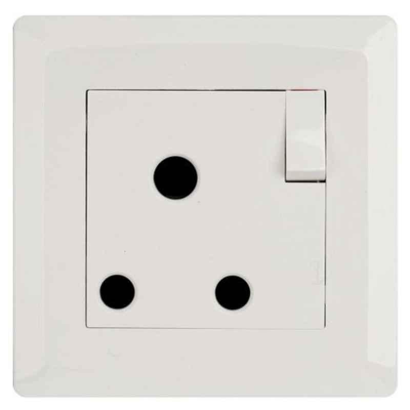 Terminator 15A Wall Plate with Switch, TWS 15A