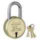 Link 50mm Brass Finish Brass Long Shackle Padlock with 3 Keys, Round 50LS