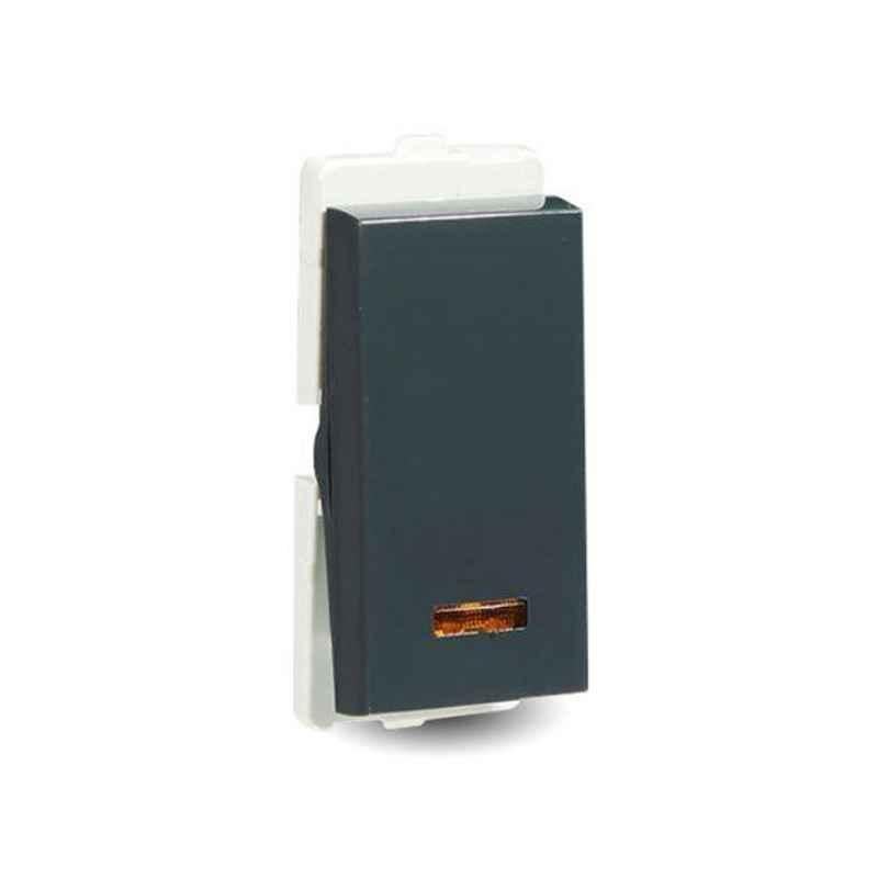 Schneider Electric Livia 10A Flush Mounted 1 Way Pebble Grey Switch with Indicator, P1081_DG (Pack of 10)