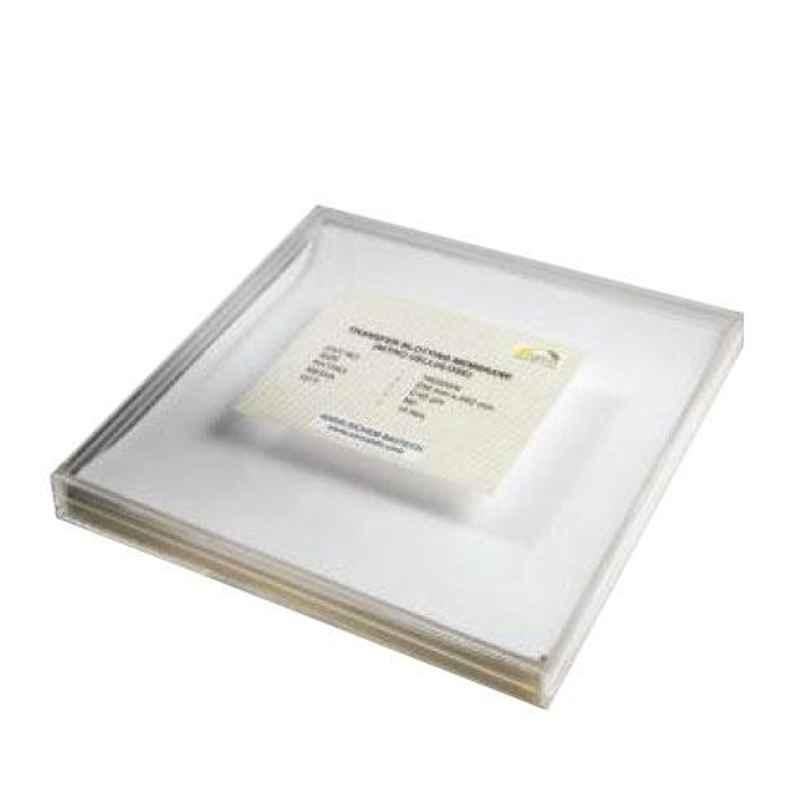 Axiva 300mmx3m 0.45µm Nylon Blotting Transfer Membrane Roll, 170330 XI