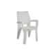 Supreme Villa 120kg Plastic Milky White Premium Contemporary Chair with Arm