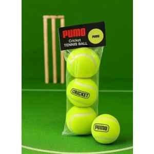 VGS 6cm Green Standard Cricket Tennis Ball (Pack of 3)