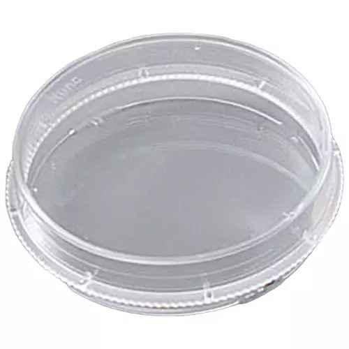 Piastre Petri Sterili 70mm - 6 Pezzi Per Laboratorio Colture Batteriche E Lieviti