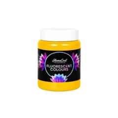 WinnerOne HomeCoat 500ml Golden Yellow Fluorescent Colour, FC202 (Pack of 2)