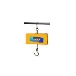 Wetmeasure CRS-60 100kg Mild Steel Hanging Scale