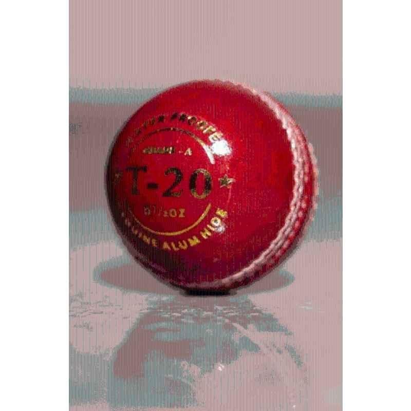 KHX Enterprises T-20 Red Cricket Leather Ball