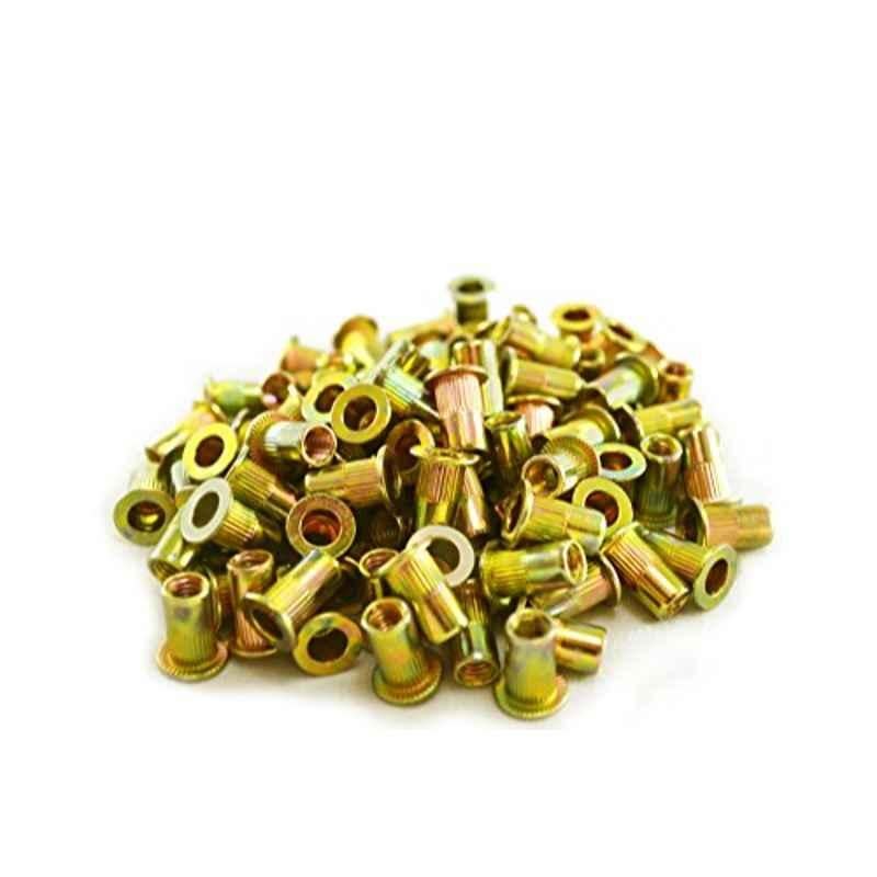 Astro Pneumatic Tool 100 Pcs 5mm SM5 teel Rivet Nuts Set, RN5M