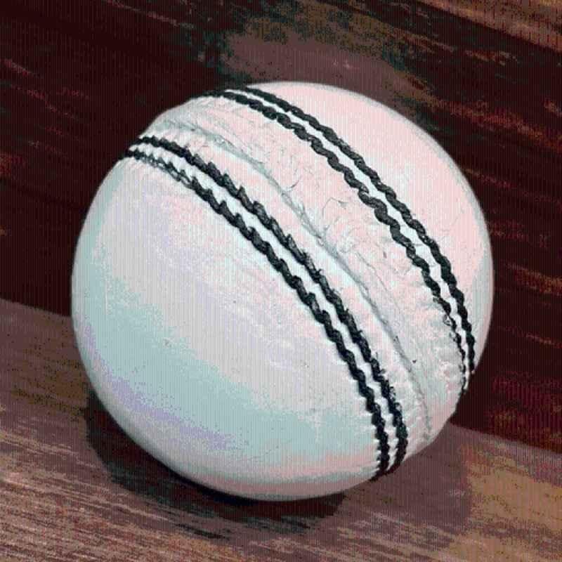 Mturbo Plain White Leather Ball Cricket Leather Ball (Standard White)