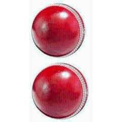 Sports Trading Red Leather Cricket Ball (Pack of 2)
