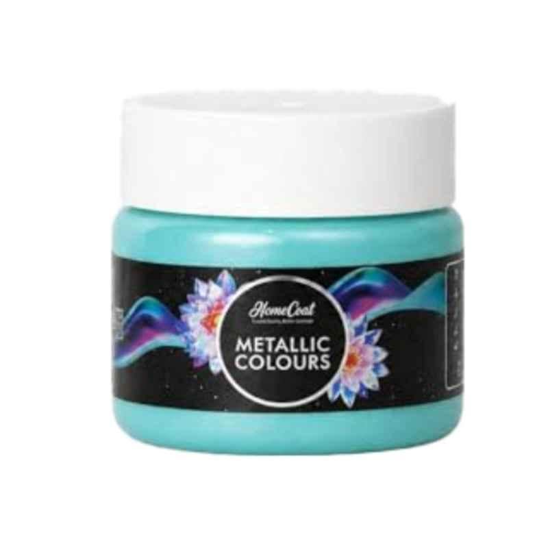 WinnerOne HomeCoat 100ml Aqua Green Acrylic Pearl Colour, PC 104 (Pack of 3)