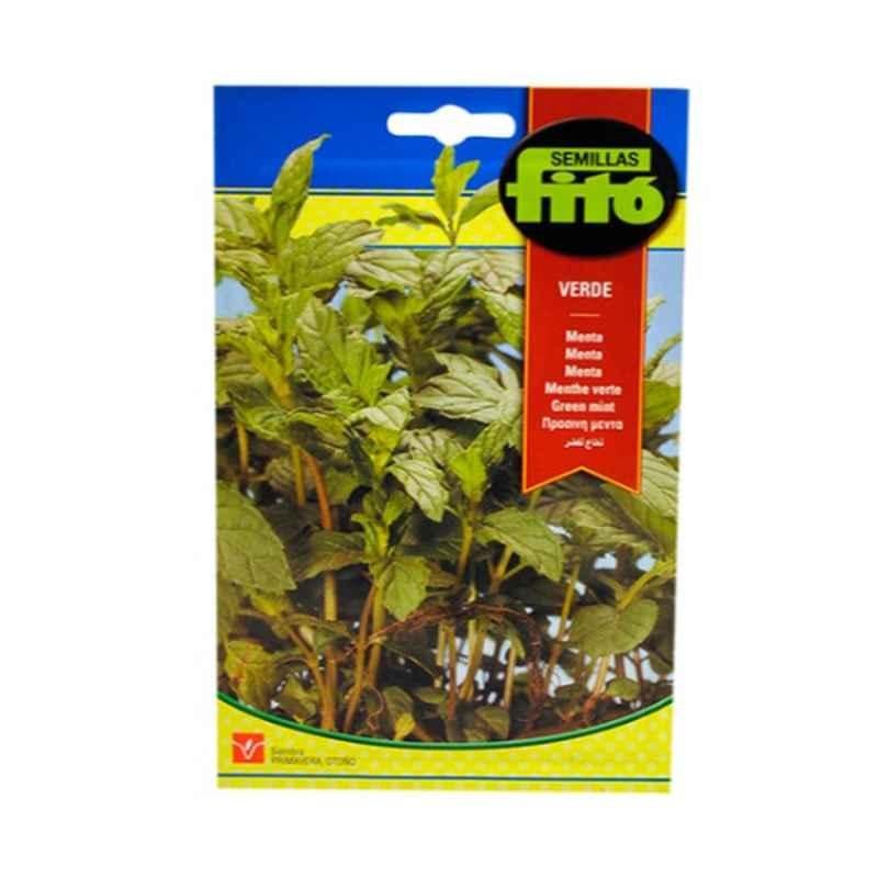 Fito Green Mint Seeds, 653