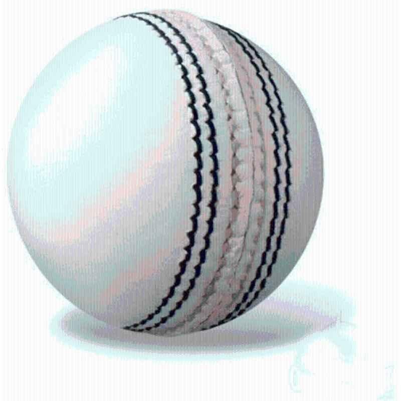 GTS Dezir White Leather Cricket Ball