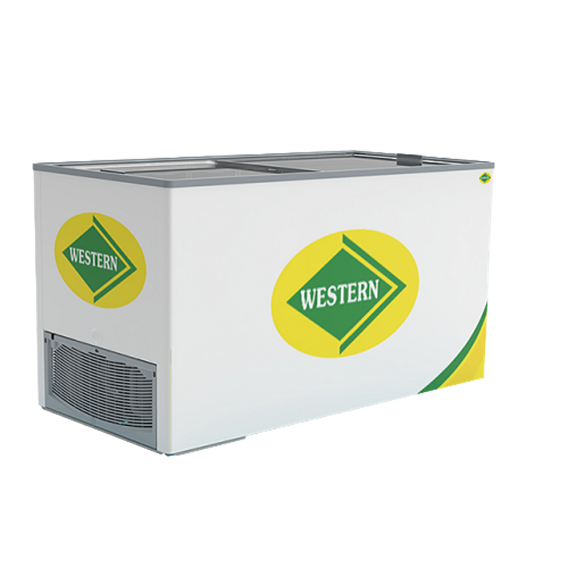 Western 589L White Double Door Standard Deep Freezer, NWHF550G-HC