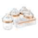 Trueware 4 Pcs Kimora 500ml Rose Gold Container Set with Tray