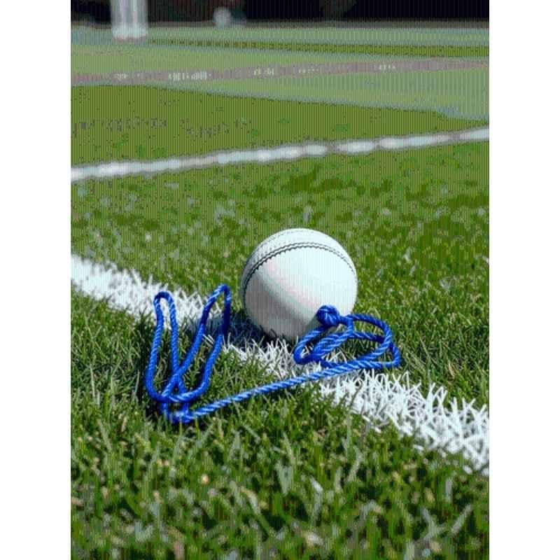 VS Sports Bliss Mo White Leather Cricket Ball