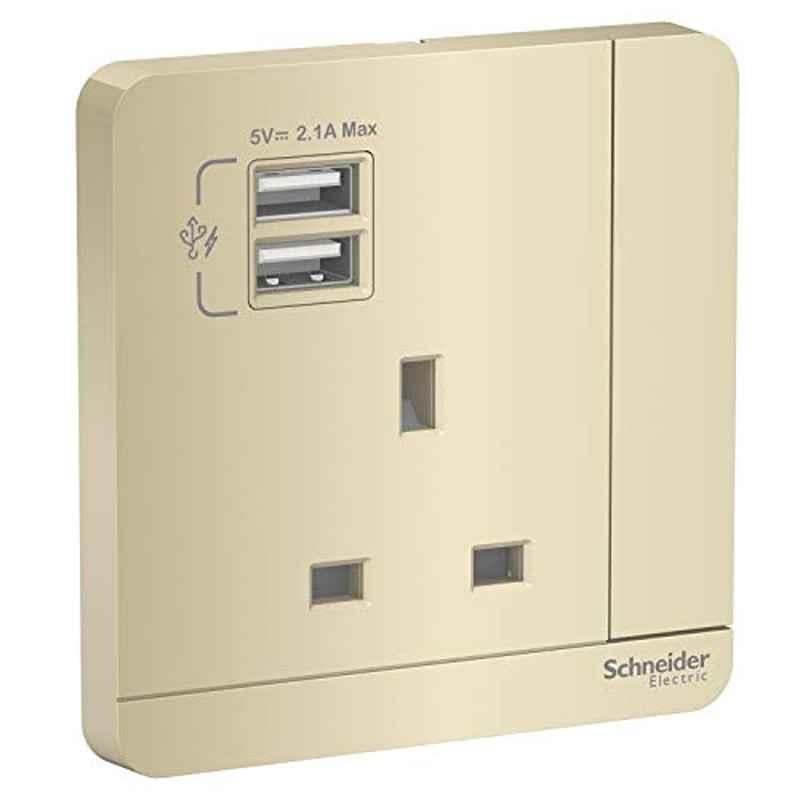 Schneider AvatarOn 13A Polycarbonate 2 USB Charger with Switched Socket, E8315USB_WG_G12