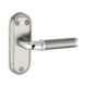 Sardar 4 Inch Stainless Steel Grey Baby Latch Mortise Door Lock Set