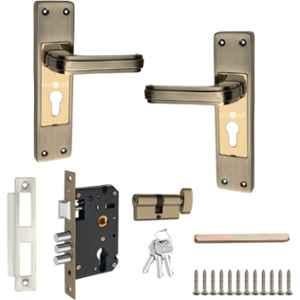 Buckler 8 inch Iron Gold Matte & Glossy Door Handle Set, B-360-ANT-1 Set