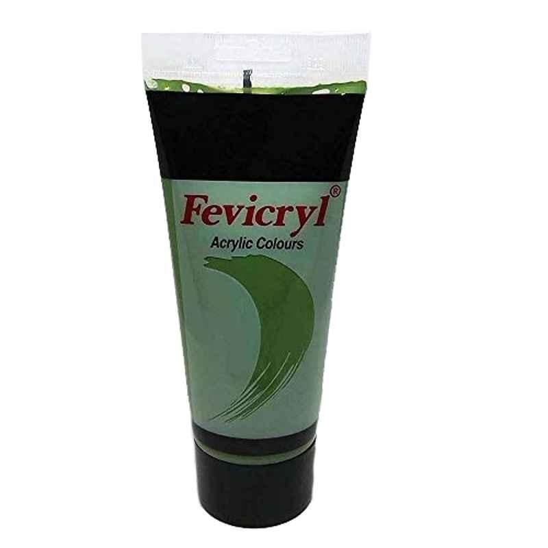 Fevicryl 200ml Acrylic Olive Green Gloss Paint, AC39