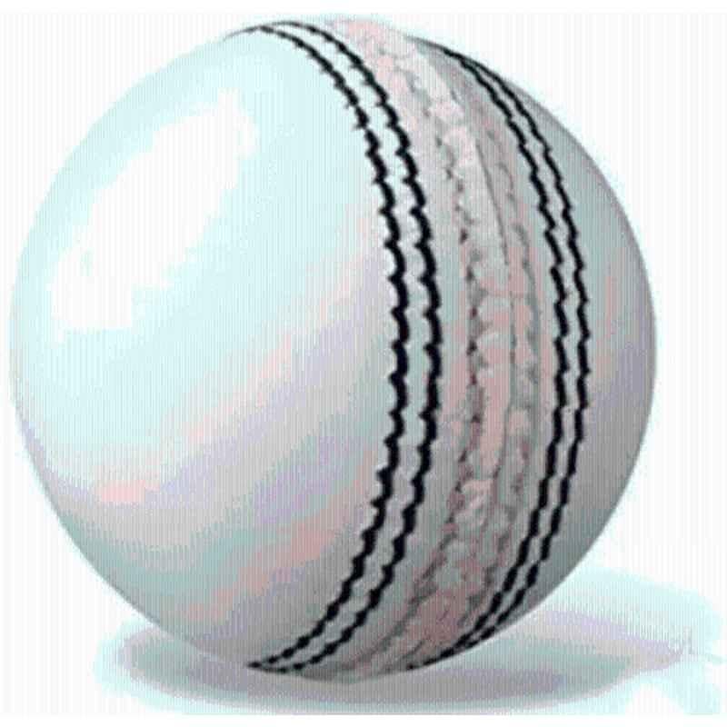 Gamers Hub Standard White Synthetic Cricket Leather Ball