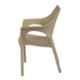 Supreme Cambridge Synthetic Resin Rattan Looks Dark Beige Premium Chair with Arm (Pack of 4)