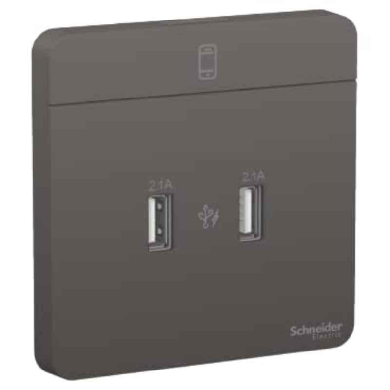 Schneider AvatarOn 2.1A Dark Grey 2 USB Charger, E8332USB-DG