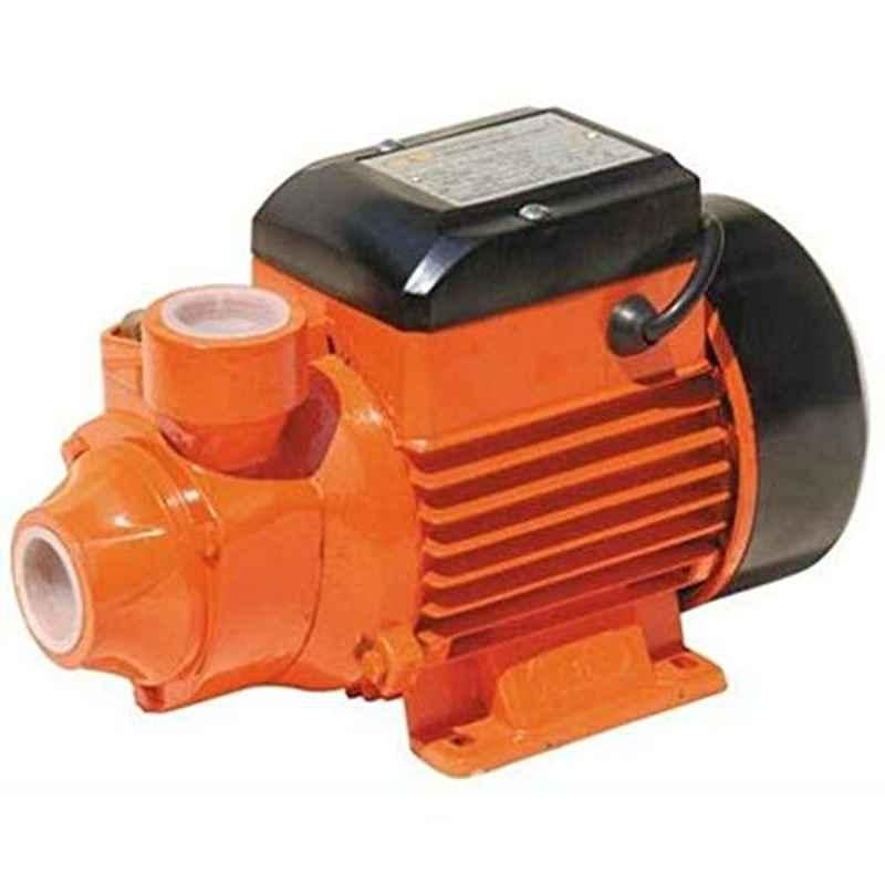 0.5 Hp 220V Water Pump
