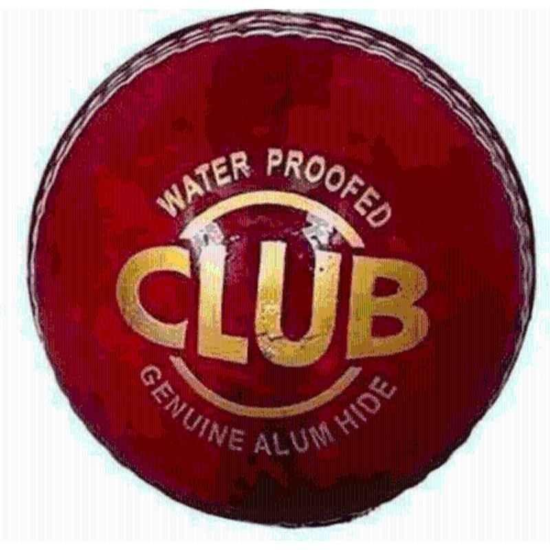 CGATE r9 Standard Red Cricket Leather Ball