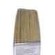 Kapil 4 inch White Premium Synthetic Bristle Paint Brush