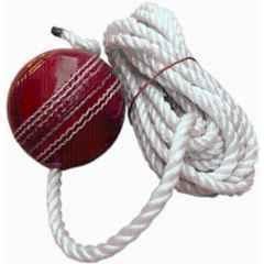 CF Sports Premium Om Season Cricket Training Ball