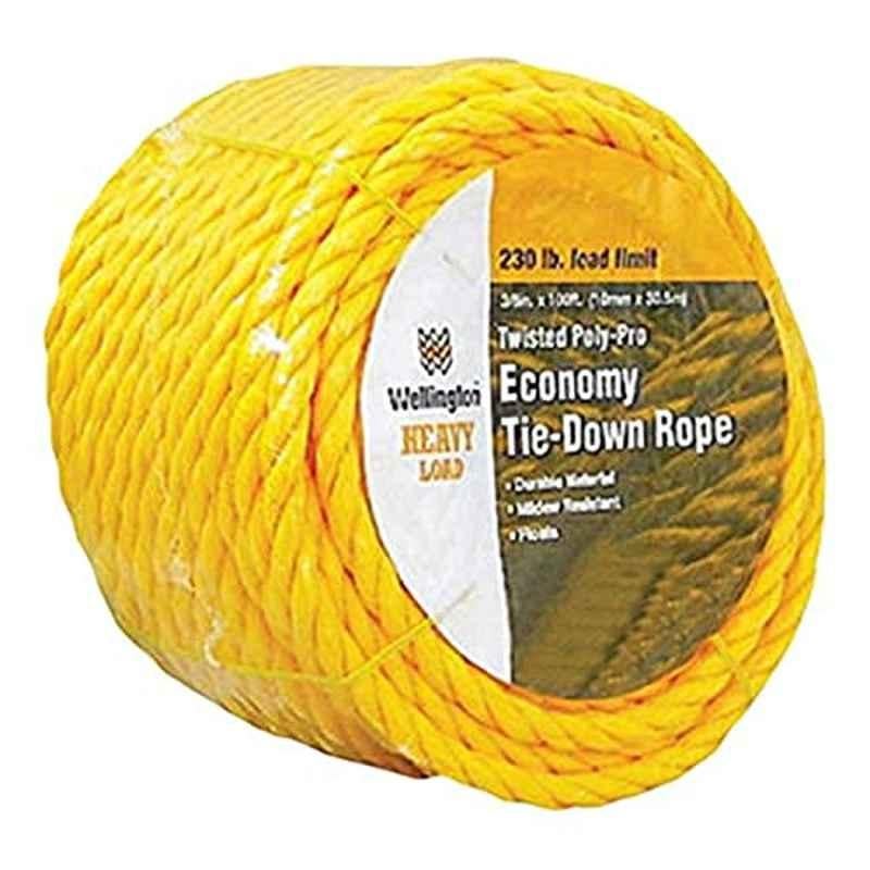Wellington 230lbs 100ft Polypropylene Yellow Twisted Rope, 15015