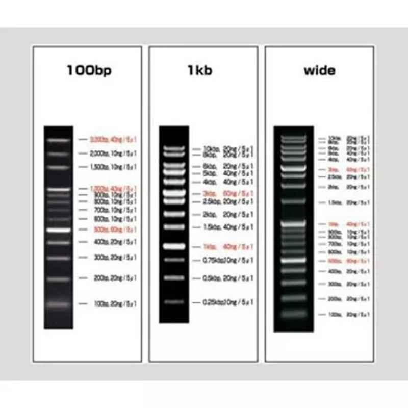 Lab Plus Violamo DNA Ladder Marker, LP-10768