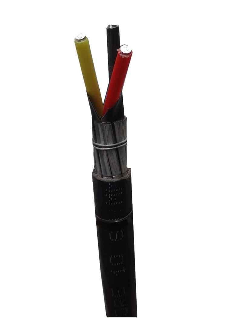 Buy Polycab 50 Sqmm 3 Core Aluminium Armoured High Tension Cable xwy Length 100 M Online At Best Price On Moglix