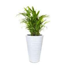 Blume Colosseum 18 inch White Stone Plastic Flower Pot