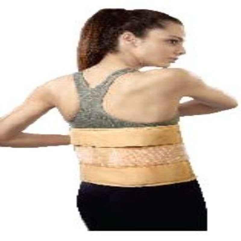 Vissco S Deluxe Frame Back Support