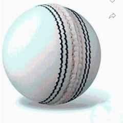 Shri Shyam Traders Standard White Cricket Leather Ball