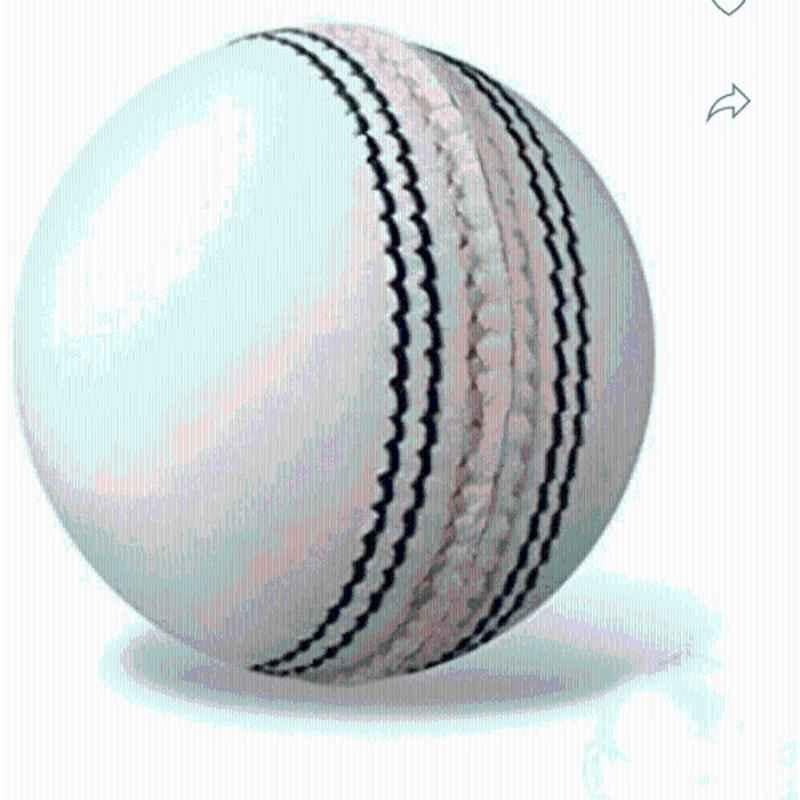Shri Shyam Traders Standard White Cricket Leather Ball