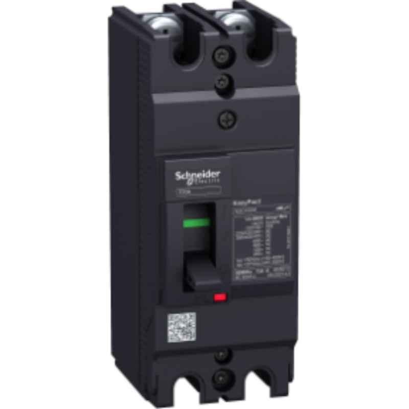 Schneider Easypact 50A 2 Pole TMD Circuit Breaker, EZC100H2050