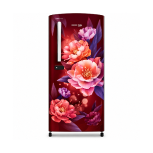 Voltas Beko 175 Litre 2 Star Wine  Direct Cool Single Door Refrigerator, RDC208D1/1D0WSE0M0000GD