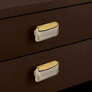 Plantex 3 inch Zinc Brass Antique & Gold Drawer Kadi for Home & Office, APS-DTK-295 (Pack of 2)