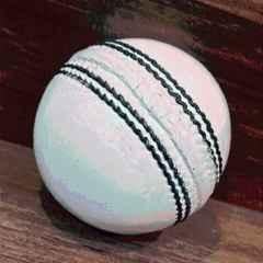 HTM White Cricket Leather Ball