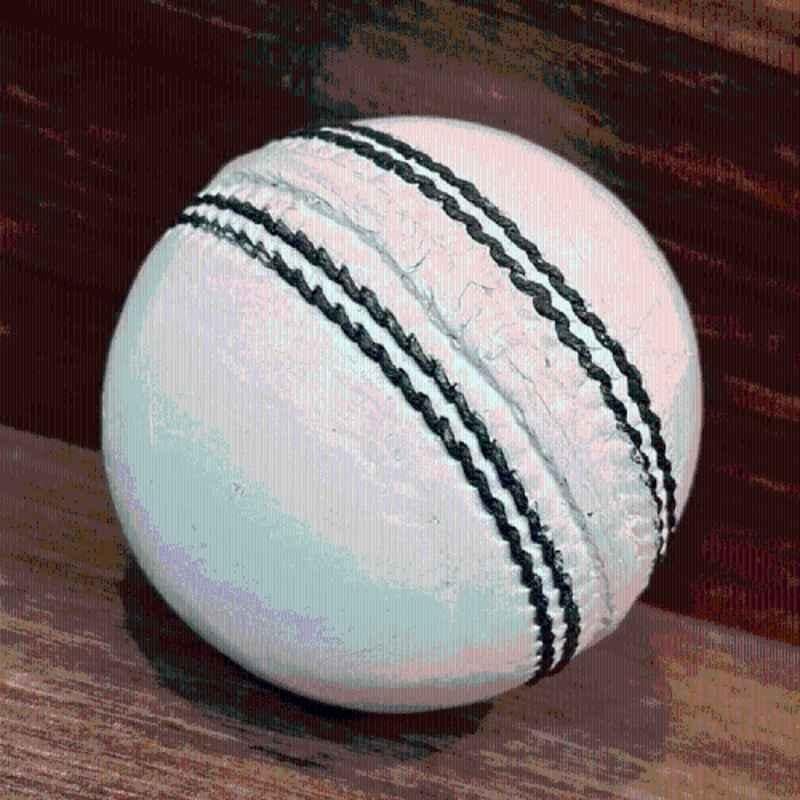 HTM White Cricket Leather Ball