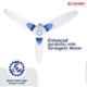 Candes Florence 400rpm White Blue Anti Dust Ceiling Fan, Sweep: 1200 mm