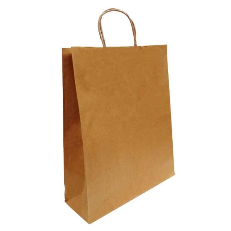 SATYAM KRAFT 12 pcs Medium Size Paper Bag With Handle 24 x 19 x 9.5 cm —  satyamkraft